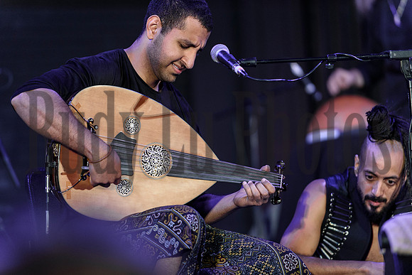 Yemeni Blues-4261