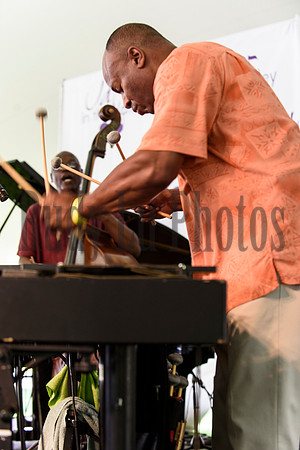 jazzinthevalley2017-5976